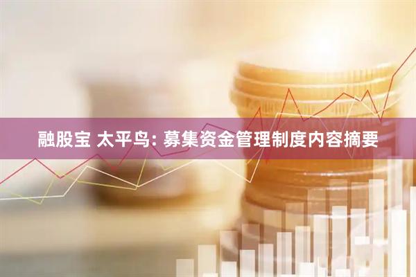 融股宝 太平鸟: 募集资金管理制度内容摘要