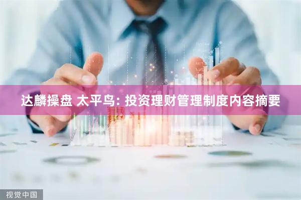 达麟操盘 太平鸟: 投资理财管理制度内容摘要