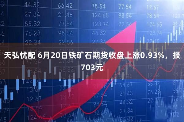 天弘忧配 6月20日铁矿石期货收盘上涨0.93%，报703元