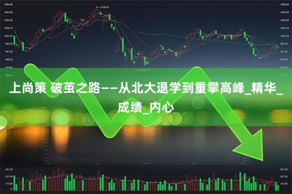 上尚策 破茧之路——从北大退学到重攀高峰_精华_成绩_内心
