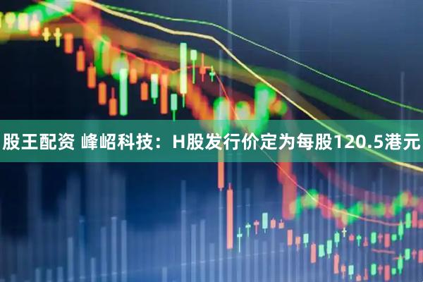 股王配资 峰岹科技：H股发行价定为每股120.5港元
