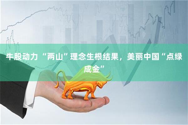 牛股动力 “两山”理念生根结果，美丽中国“点绿成金”